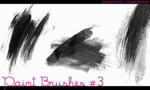 .19 - paint brushes
