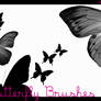 .2 - butterfly brushes
