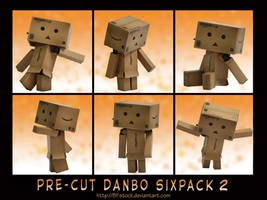 Pre-cut Danbo Sixpack 2