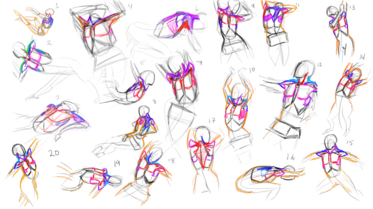 Upper Body Muscle Construction by anaisgomez on DeviantArt