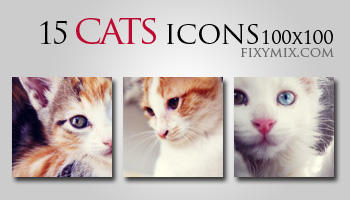 15 cats icons