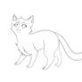 Kitten Lineart