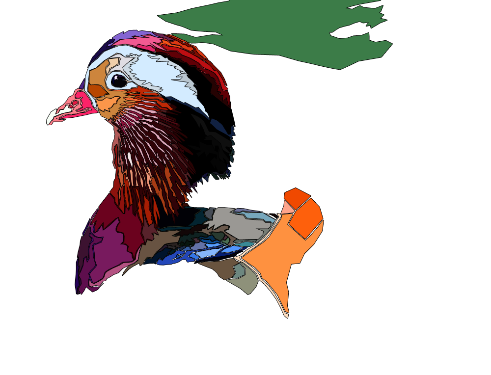 Mandarin duck