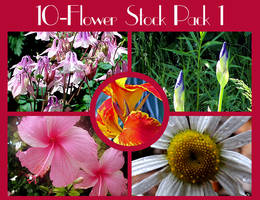 flower stock pack 1