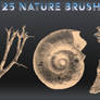 25 Nature Brushes