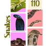 Snake PNG