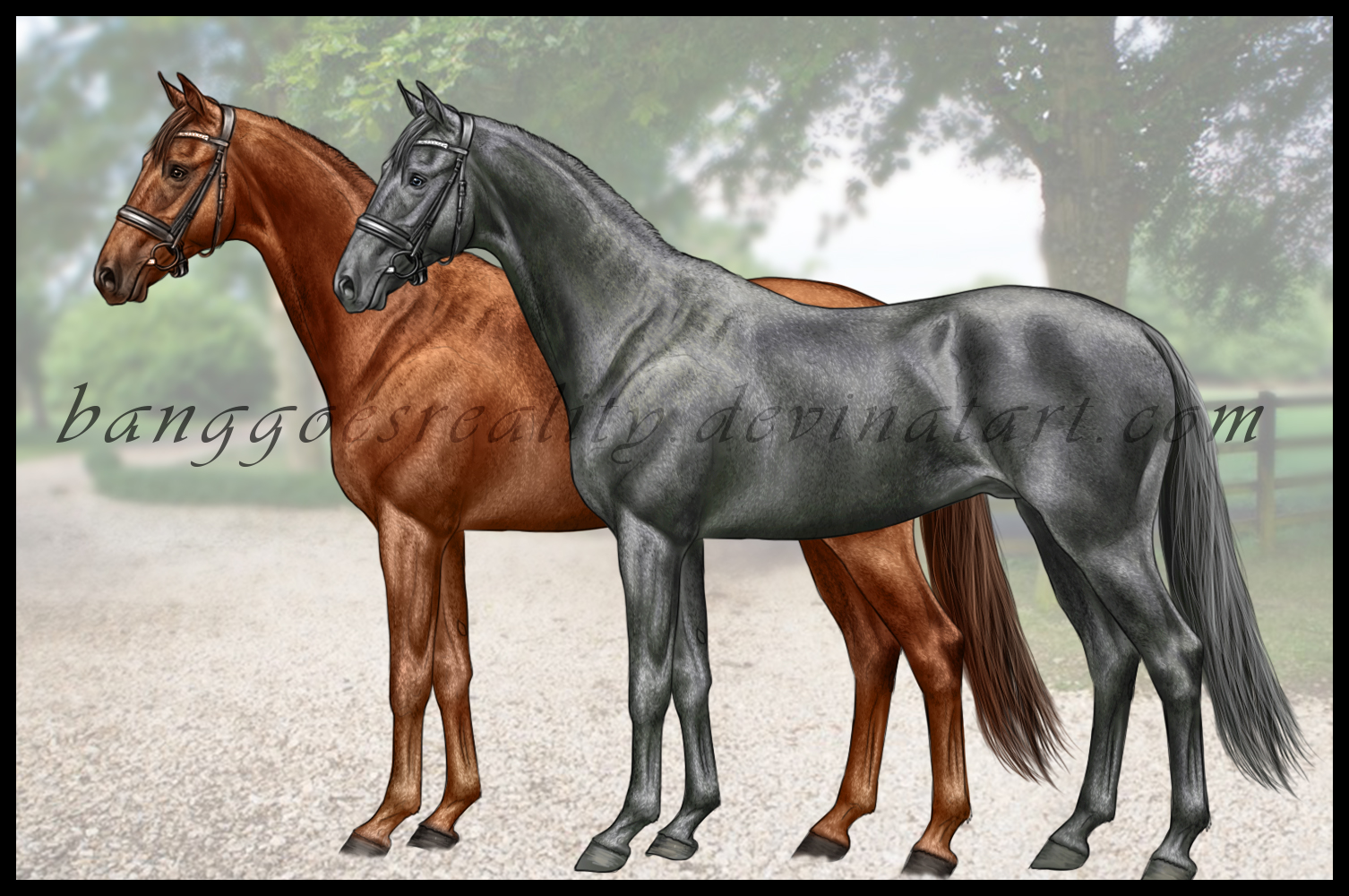 Lineless Warmblood standing greyscale