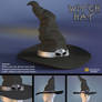 Free 3D Model: Witch Hat
