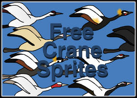 Free Crane Pack