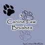 Canine Paw brushes