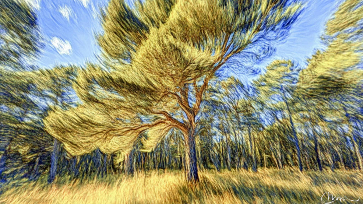Where The Wild Winds Are by Commonbymaru on DeviantArt