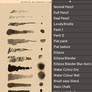 Winter 2012 brushes - Happy New Year !