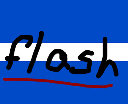 flash website