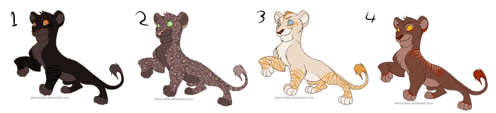 Lion Cub Adopts