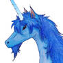 Blue Unicorn - Headshot