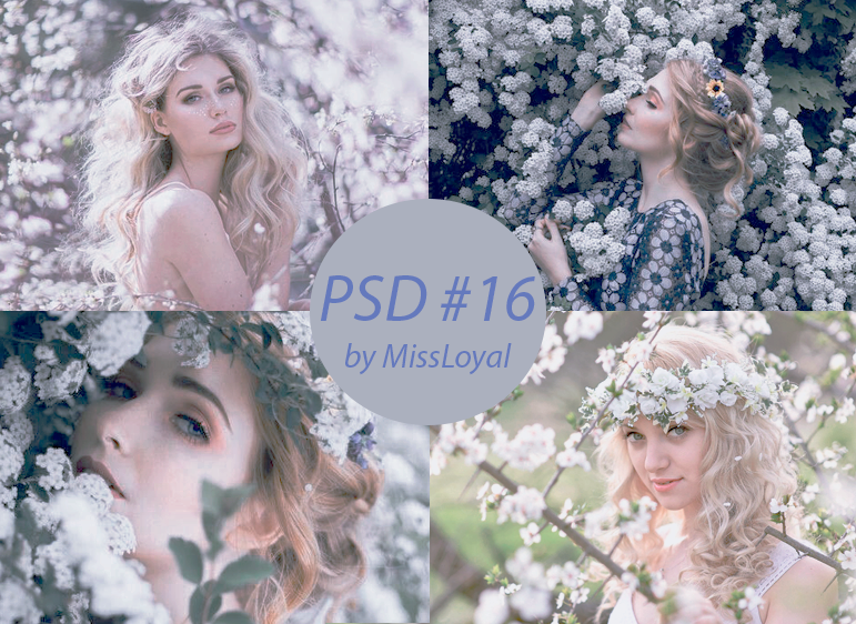 Psd #16