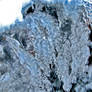 ice Crystals from the falls splash