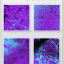 Neon purple icon textures