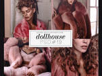 PSD #19 - dollhouse