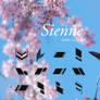 Sienne Icons