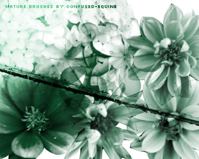 Brushes: Nature by confused-stock