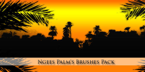 Ngees Palm's Brushes Pack