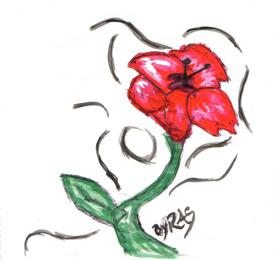 Deepest red rose by whateverdudet on DeviantArt