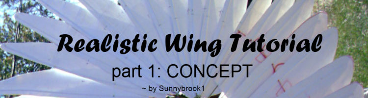 Wing Tutorial P1 - TEXT by Sunnybrook1 on DeviantArt