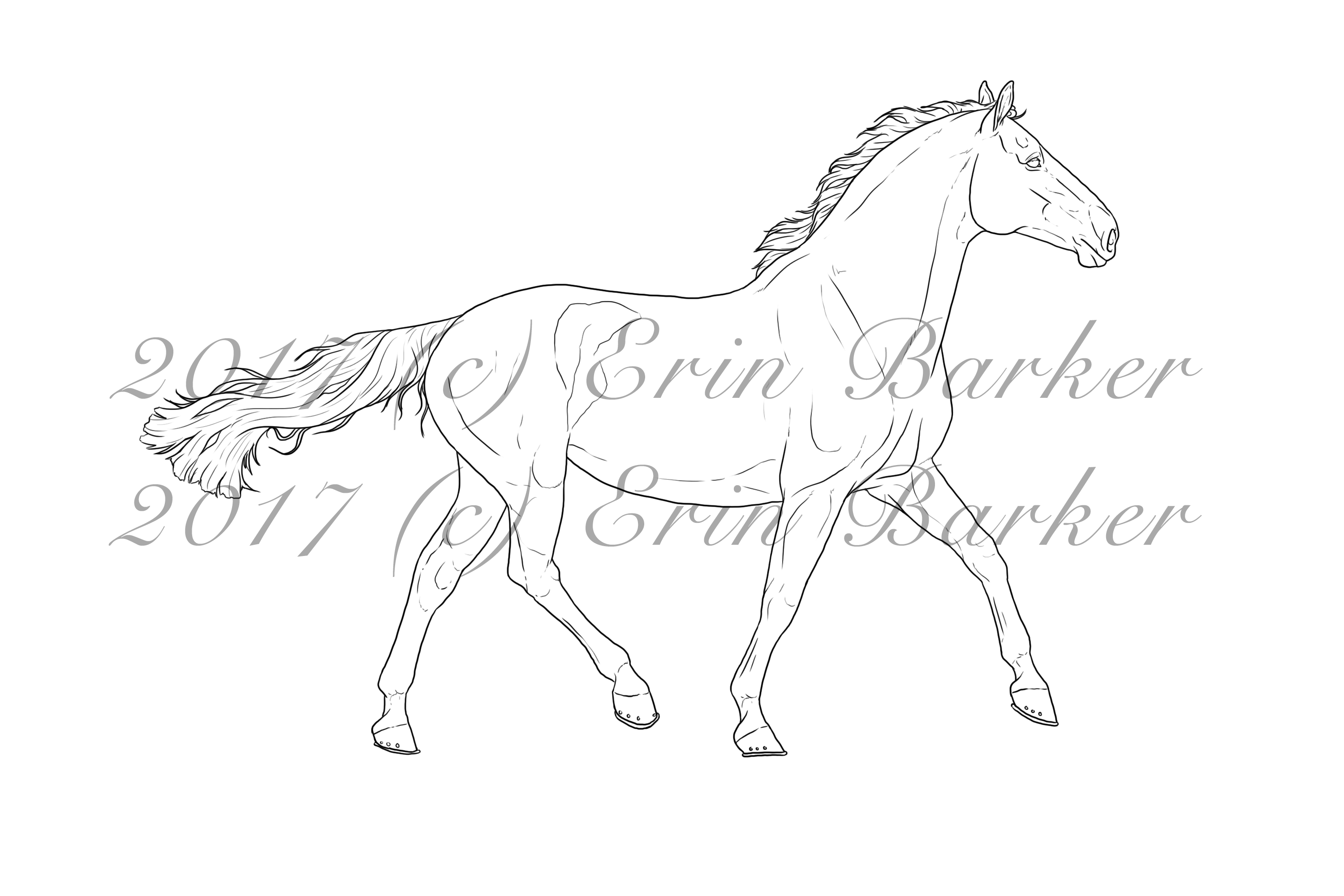 Warmblood Lineart by PrincessBee22 on DeviantArt