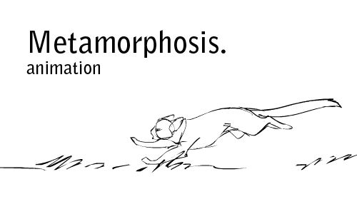 Metamorphosis animation