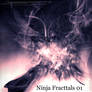 25 Incredible Fractal By Ninja