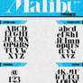 Malibu TypeFace