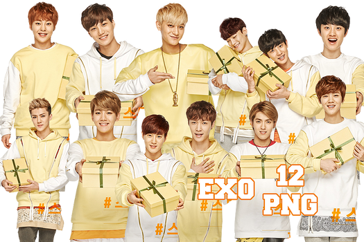 EXO's PNG Pack {Sunny10 2}