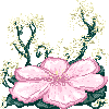Flower bg icon F2U