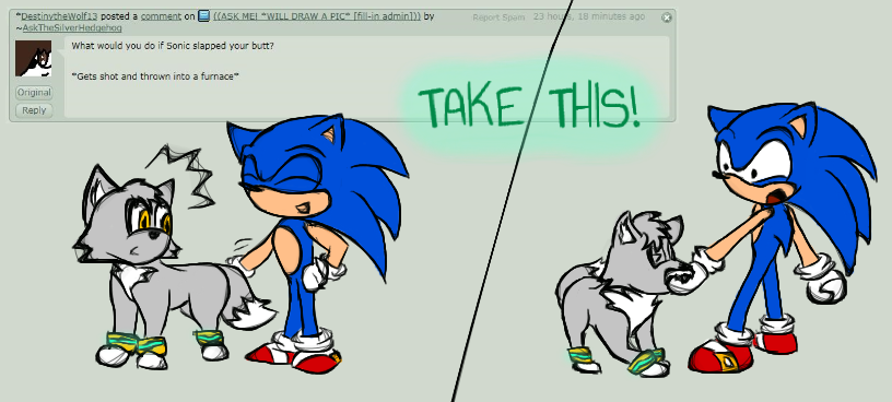 Ask #17: BAD SONIC!