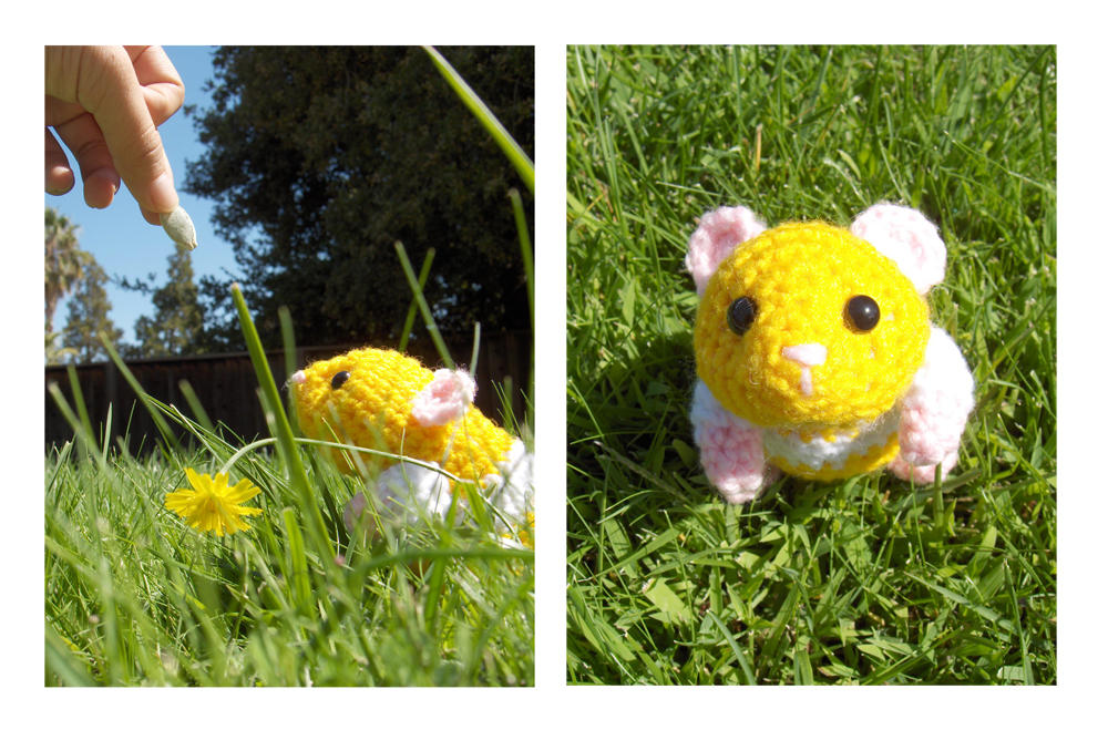 Hamster Amigurumi plus Pattern by Sparrow-dream on DeviantArt