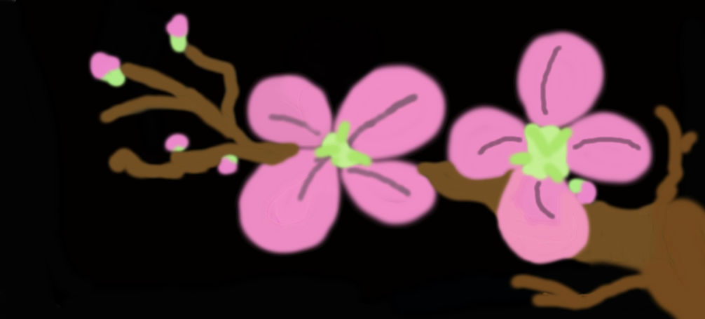 Sakura Flowers by emobisexual on DeviantArt