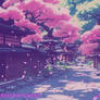 Sakura Bloom Street Audio 001