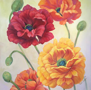 Poppies02