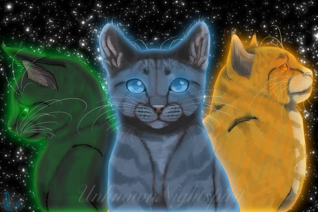 Warriors The Power of Three by UnknownNightspirit on DeviantArt