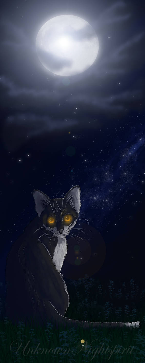 Free + Speedpaint by UnknownNightspirit on DeviantArt