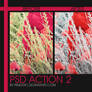 PSD Action 2
