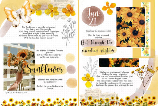 Template Sunflower