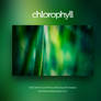 chloropyll