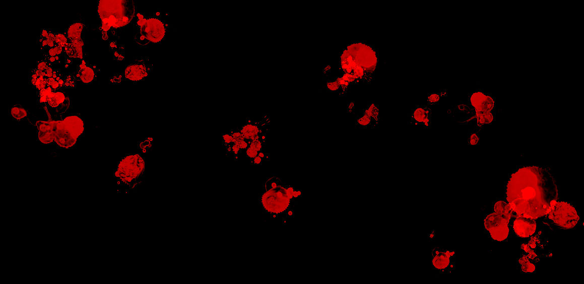 The Blood by Mazaharu on DeviantArt