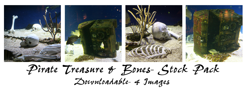 Pirate Treasure: DL Stock Pack