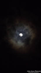 Luna In The Dark