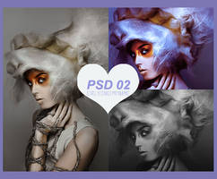 PSD 02 by cirlyisnotmyname
