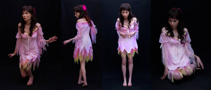 Inquisitive fairy set