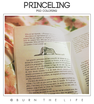 +Princeling [PSD Coloring]